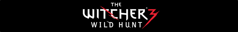 The Witcher 3: Wild Hunt - Interview