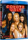 Coyote Ugly