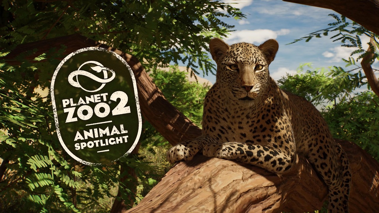 Planet Zoo 2 - Animal Spotlight: Der afrikanische Leopard