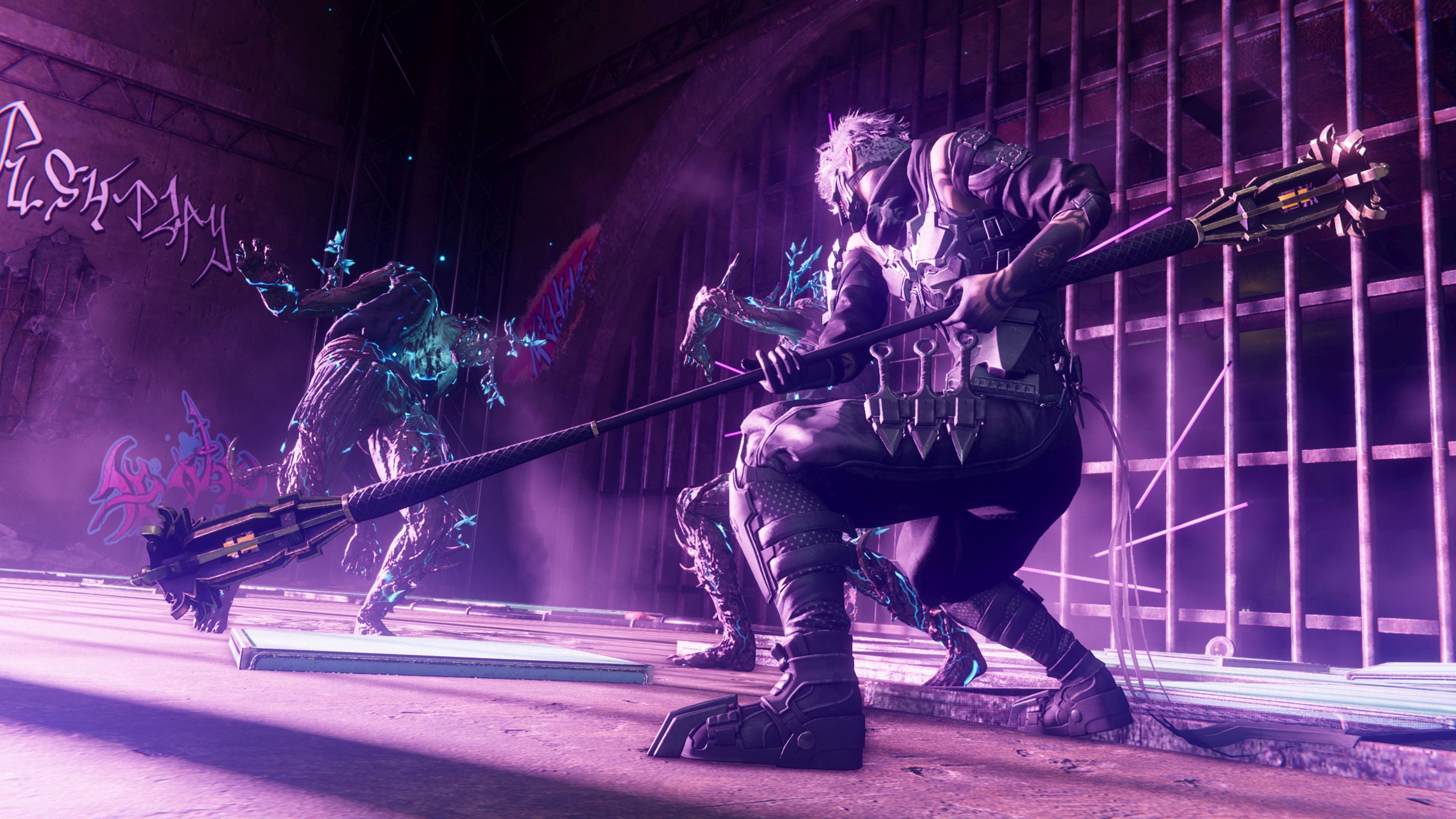 Ninja Gaiden 4