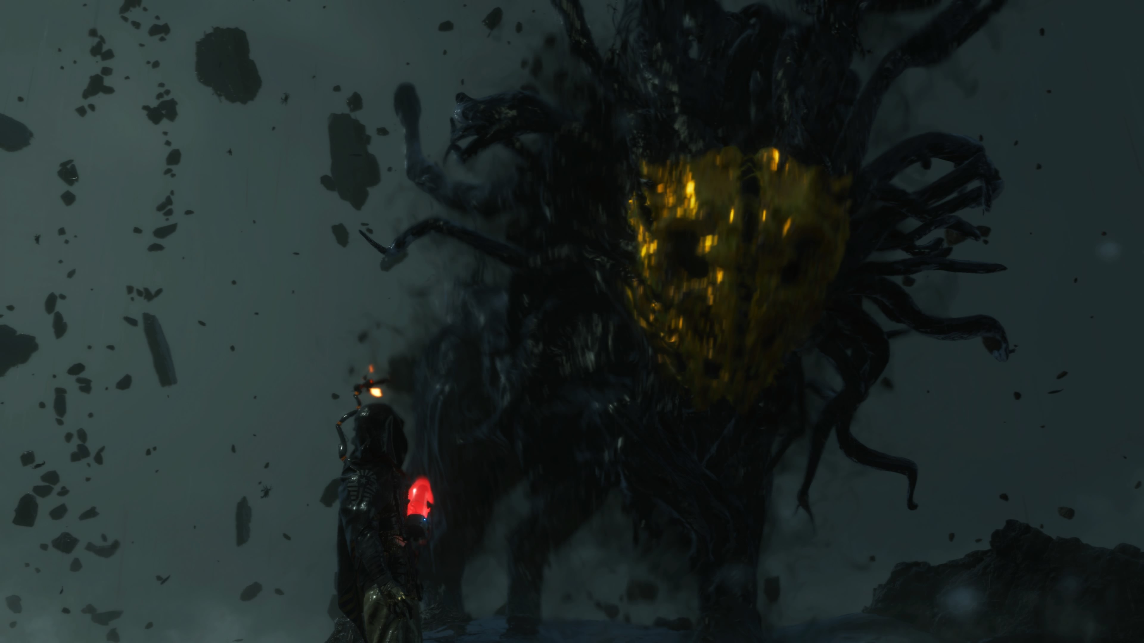 Death Stranding - Director`s Cut