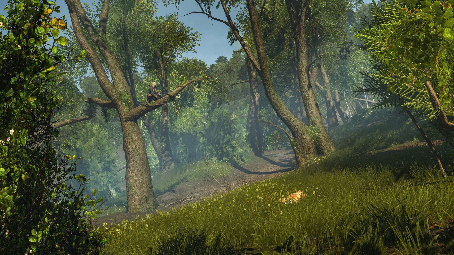 Assassin`s Creed: Rogue Remastered