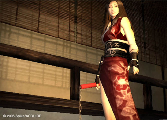 Shinobido: Weg des Ninja