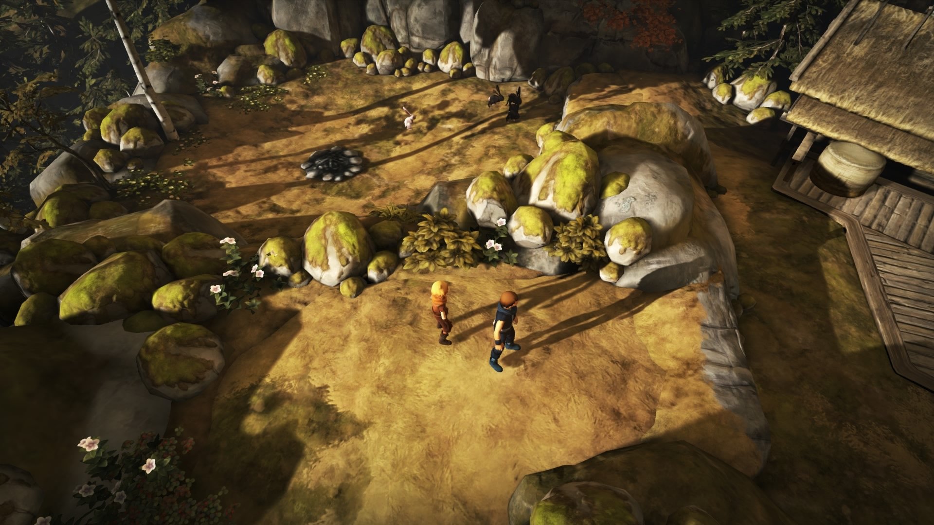 Brothers: A Tale of Two Sons Remake