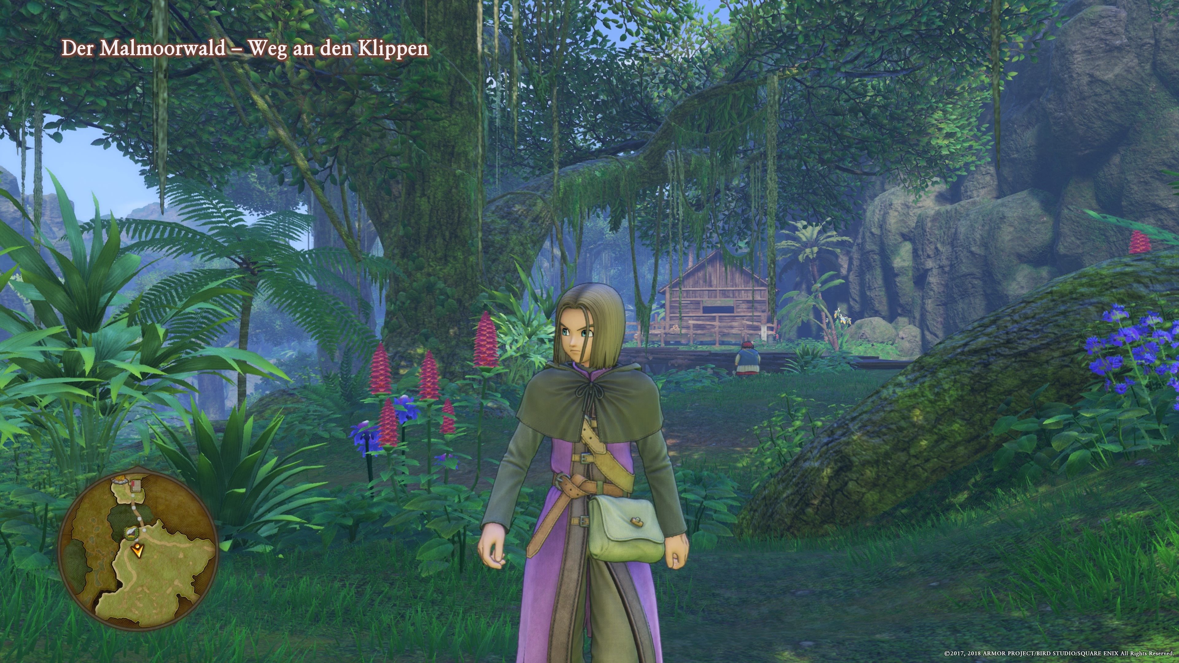 Dragon Quest XI S: Streiter des Schicksals Definitive Edition