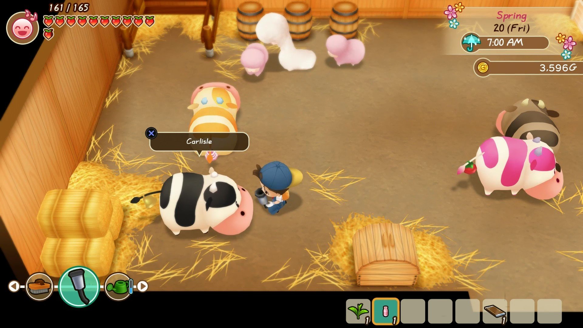 Story of Seasons: Friends of Mineral Town