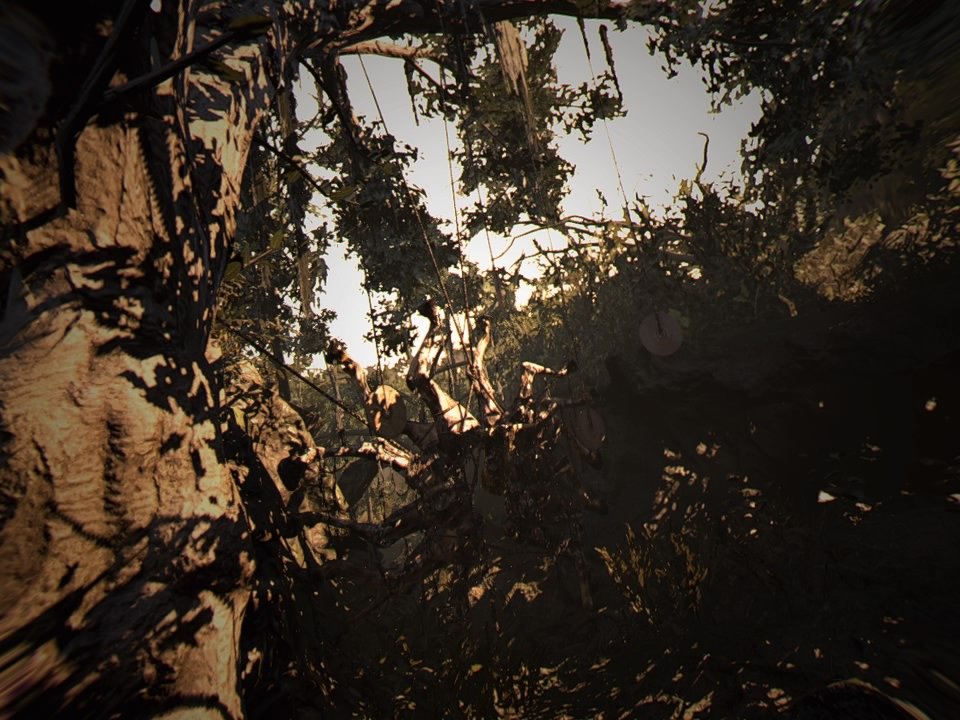 Resident Evil 7 biohazard Gold Edition