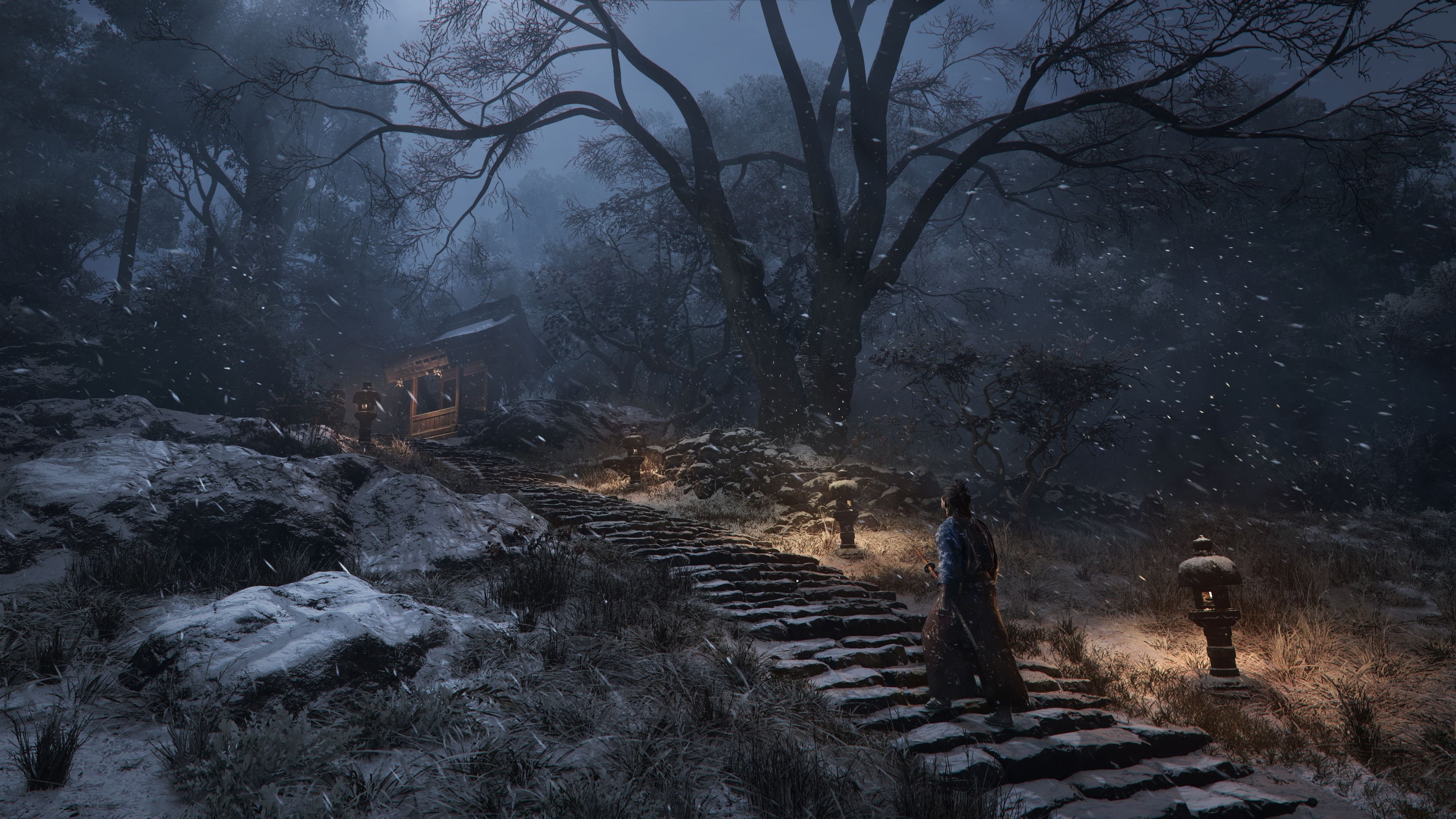 Assassin`s Creed Shadows