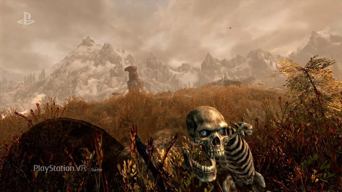 The Elder Scrolls V: Skyrim VR