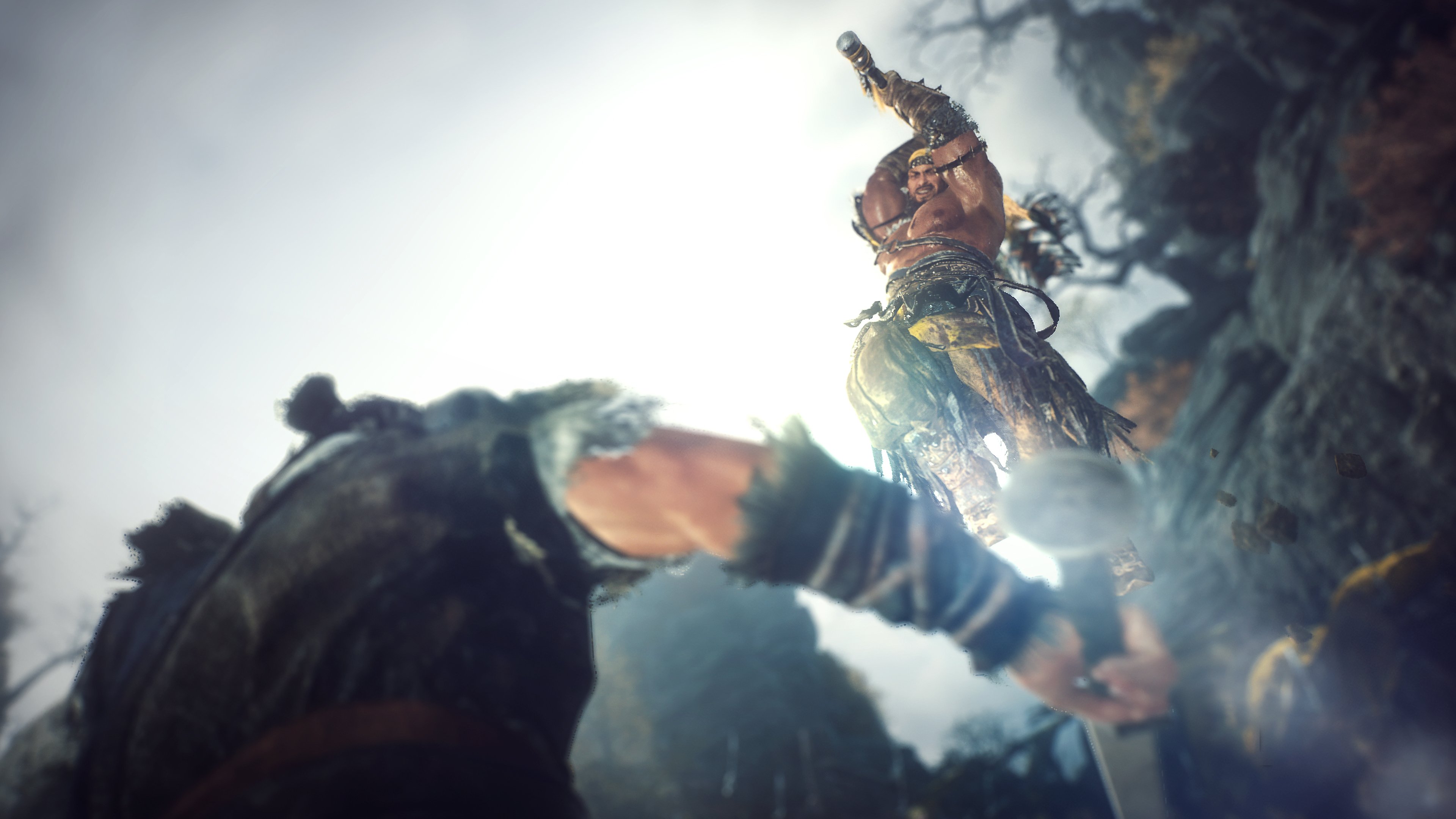 Wo Long: Fallen Dynasty Complete Edition