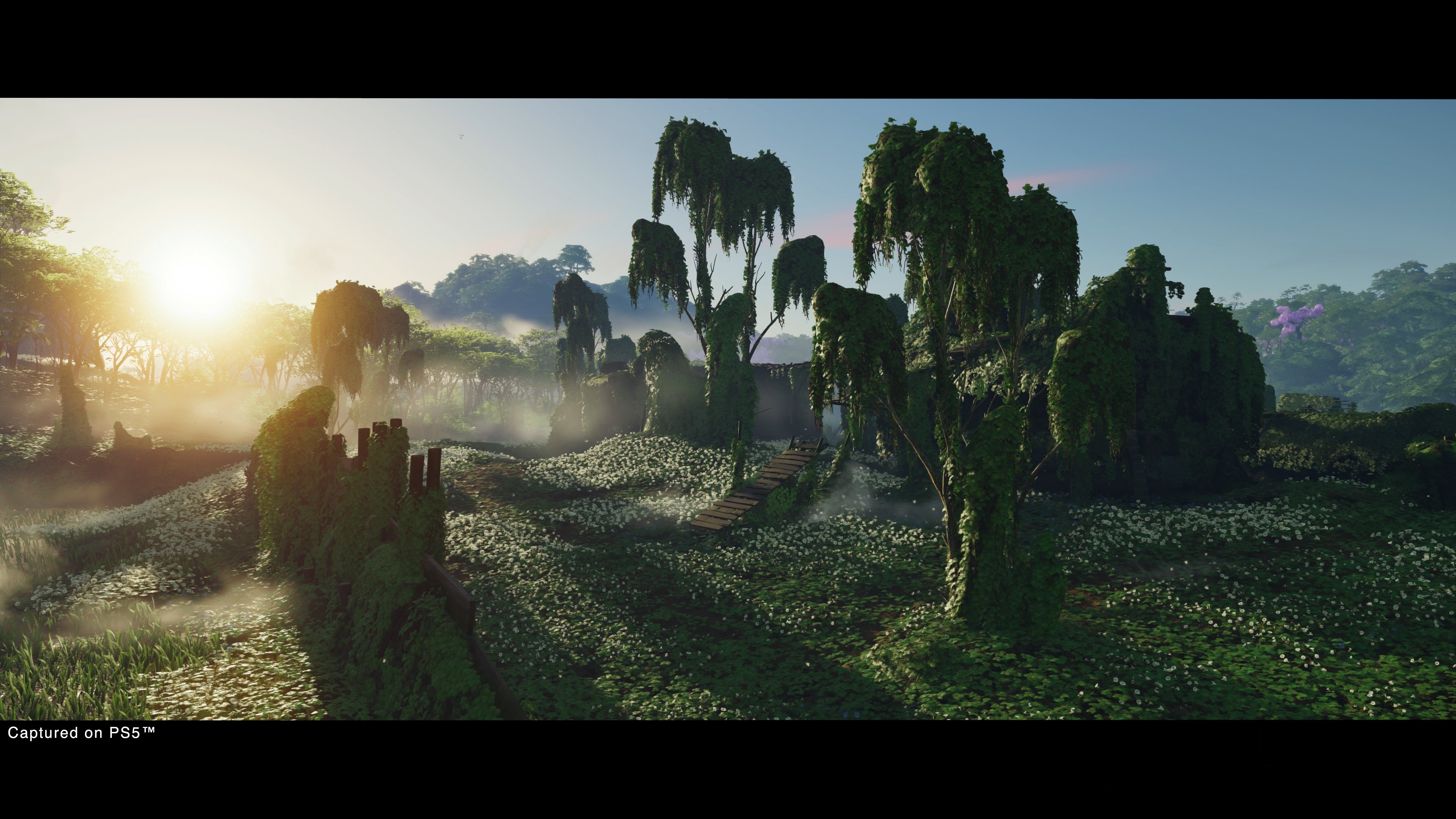 Ghost of Tsushima: Director`s Cut