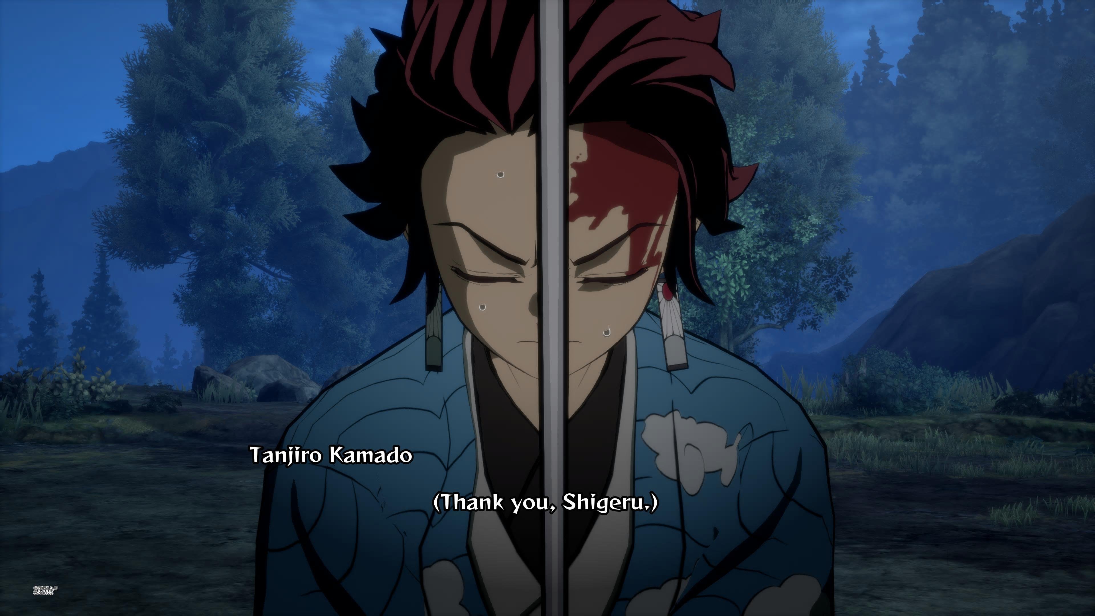 Demon Slayer: Kimetsu no Yaiba - The Hinokami Chronicles