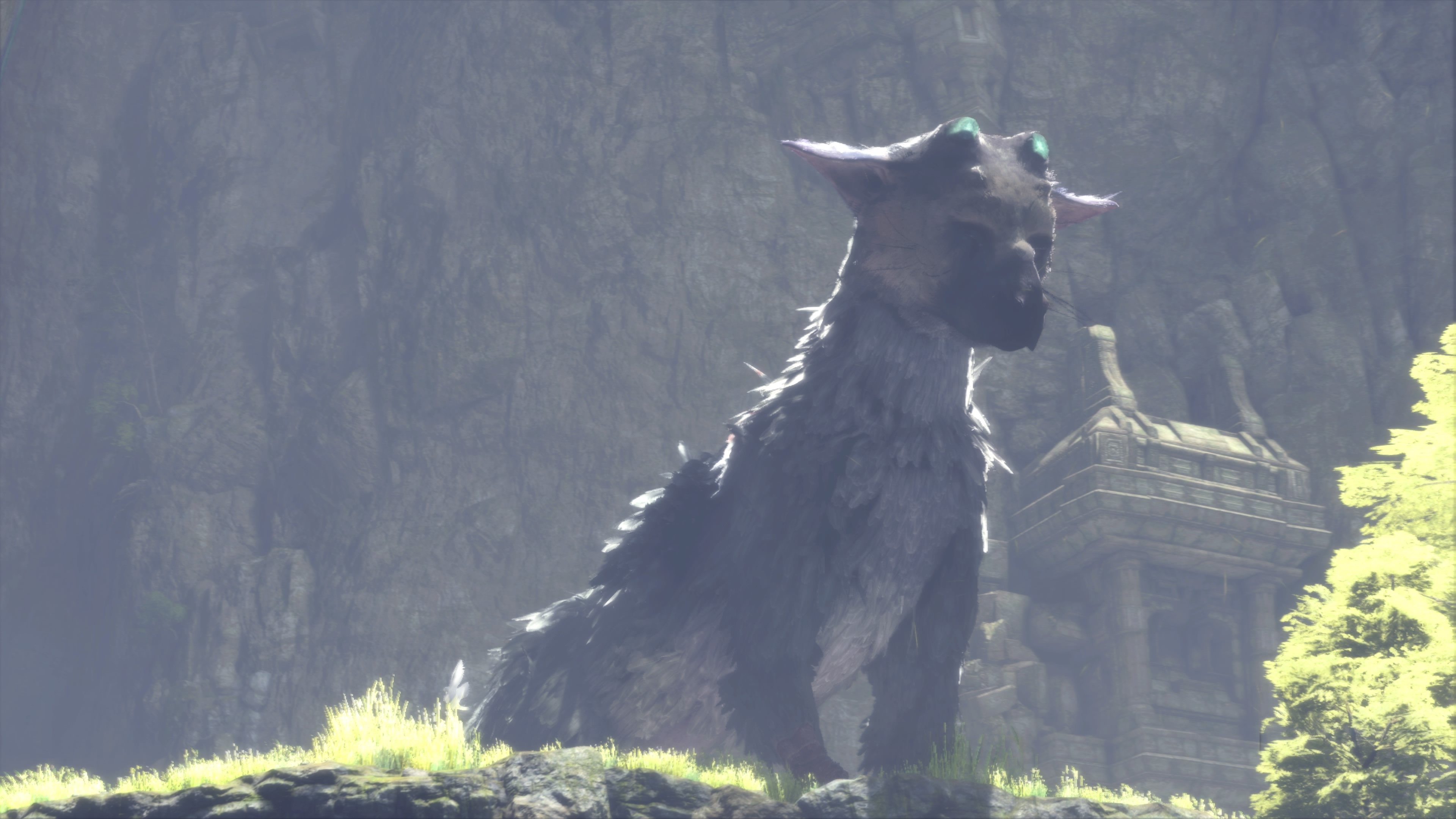 The Last Guardian