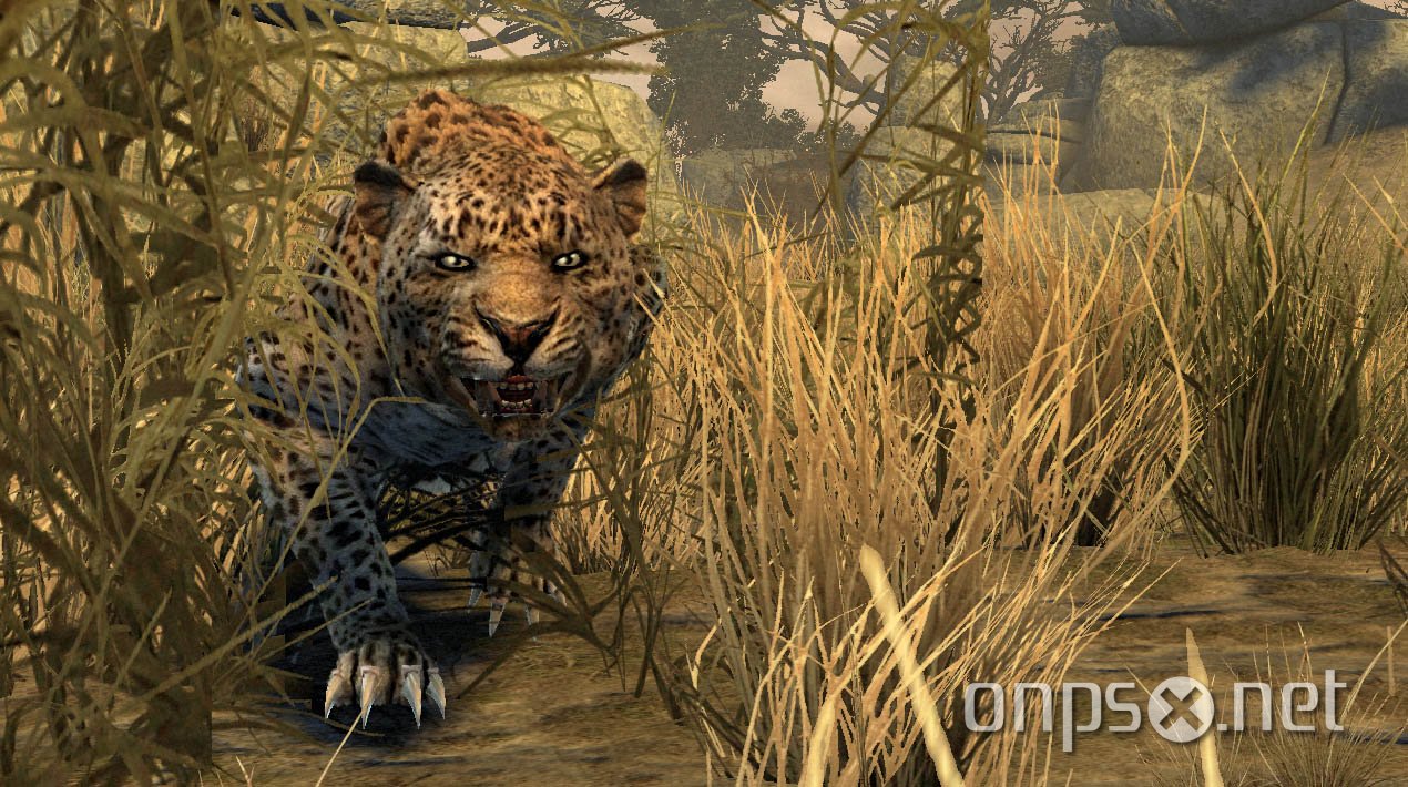 Cabela's Dangerous Hunts 2011