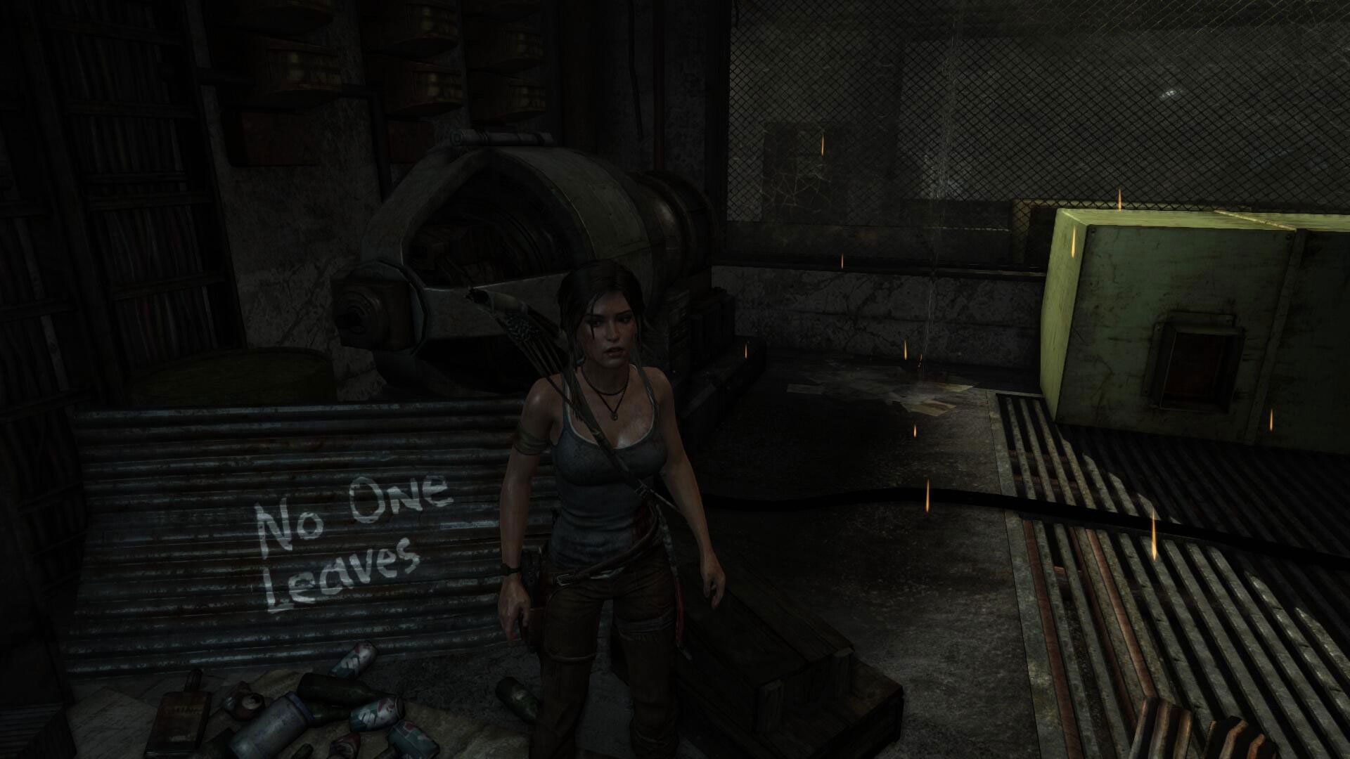Tomb Raider: Definitive Edition