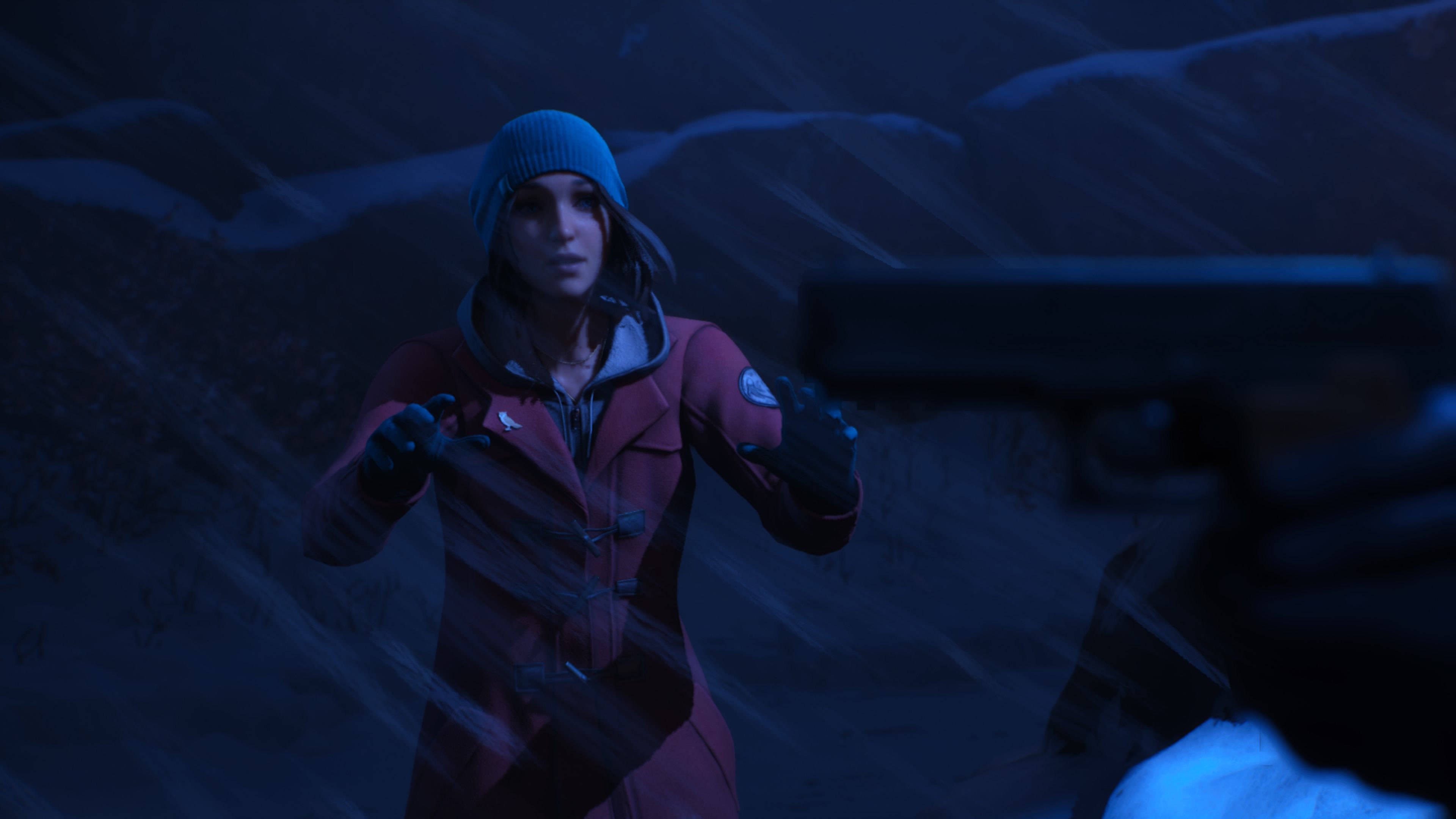 Life is Strange: Double Exposure