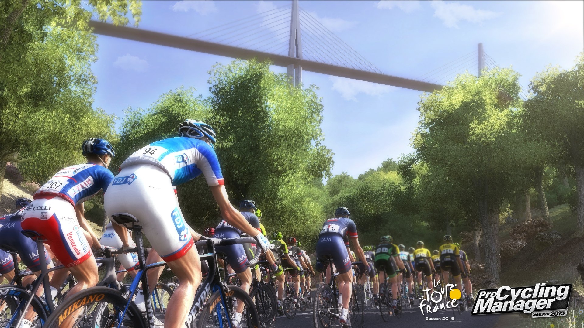 Le Tour de France 2015
