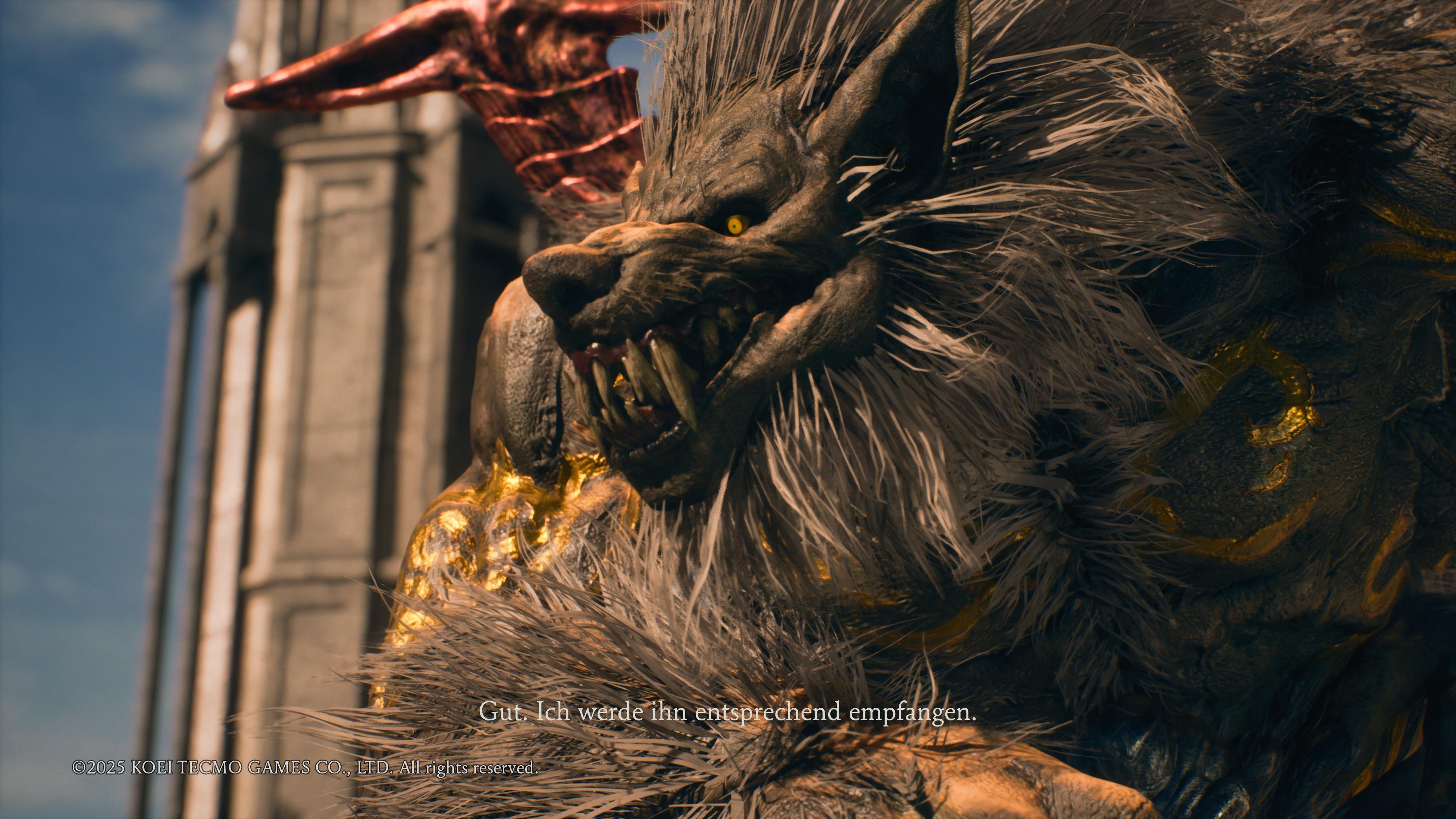 Ninja Gaiden 2 Black