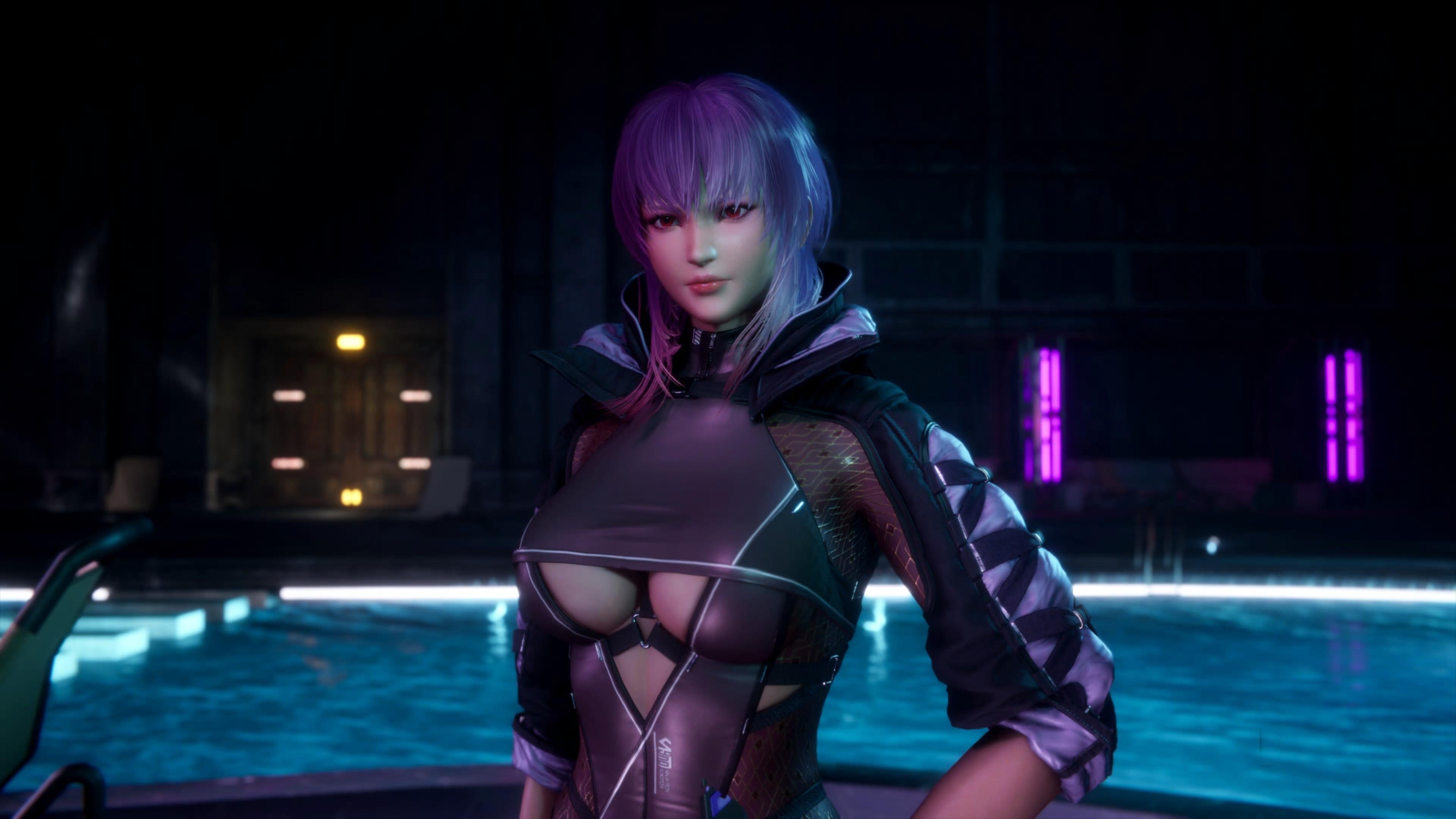 Ninja Gaiden 4