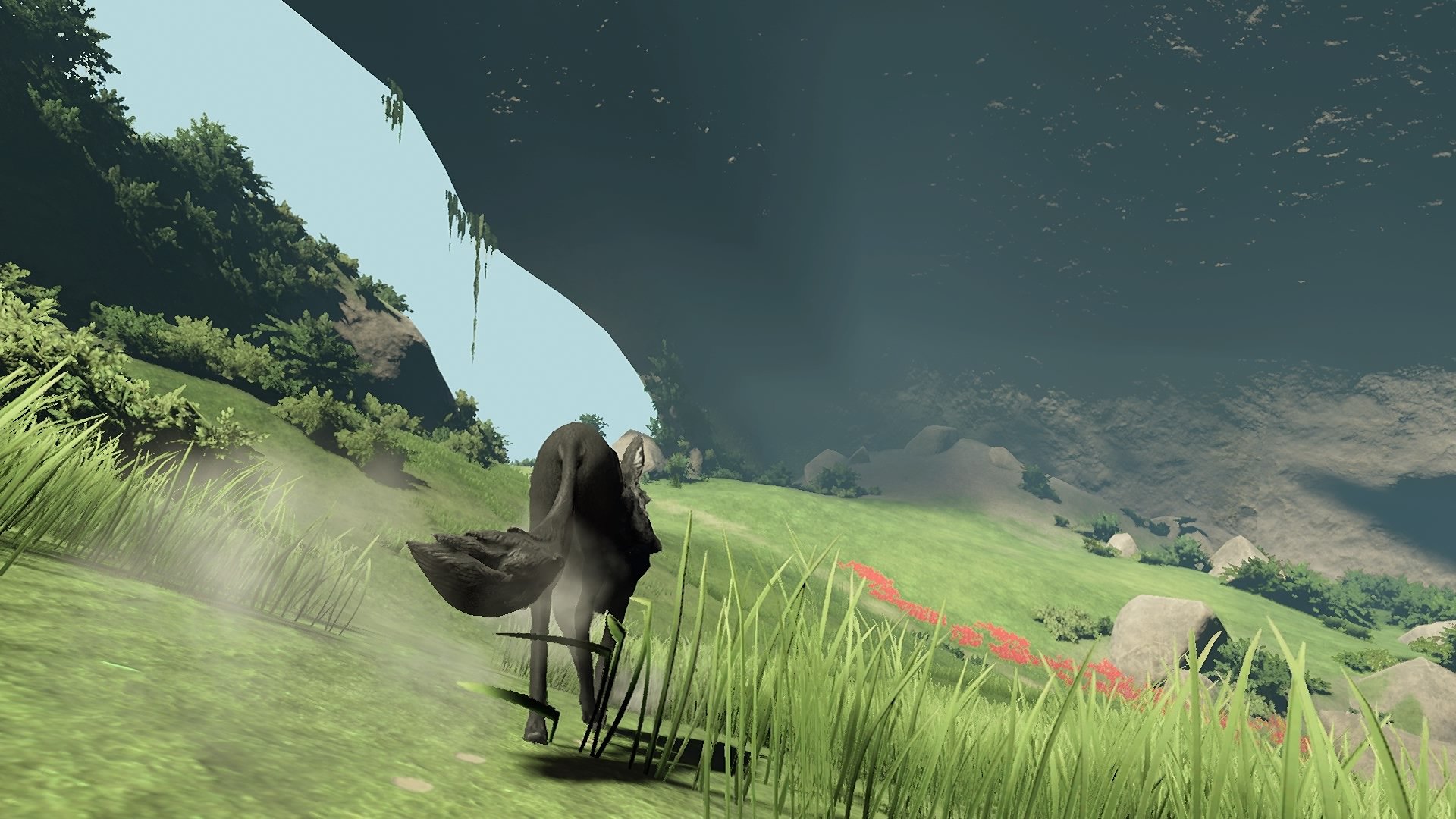 Lost Ember