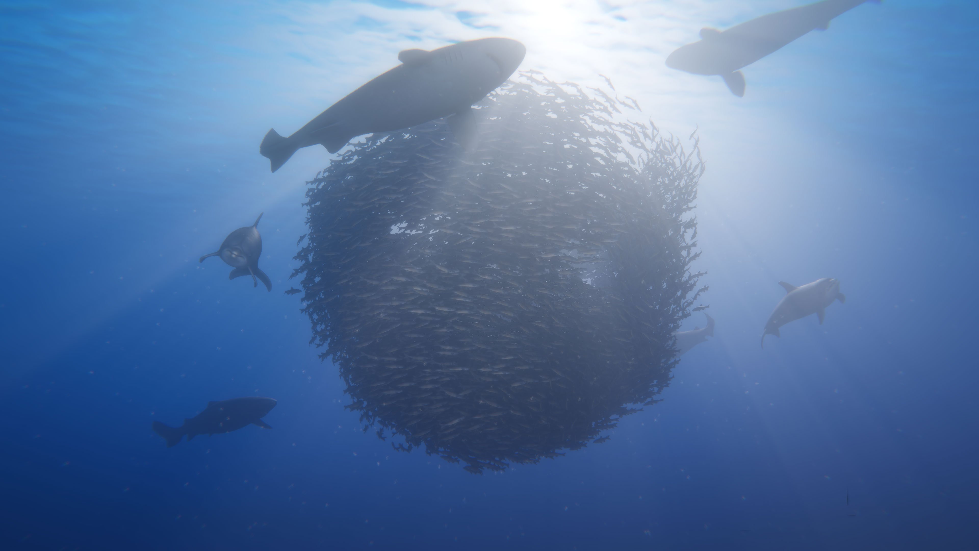 Beyond Blue - im Juni geht es virtuell auf Tauchstation