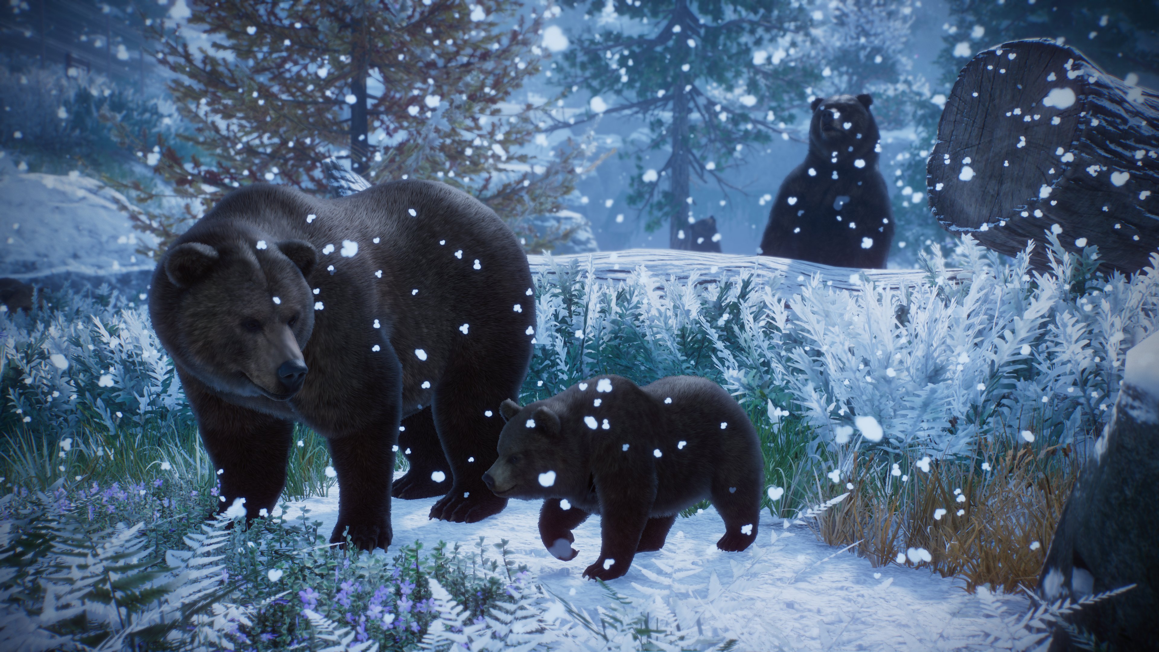 Planet Zoo: Console Edition