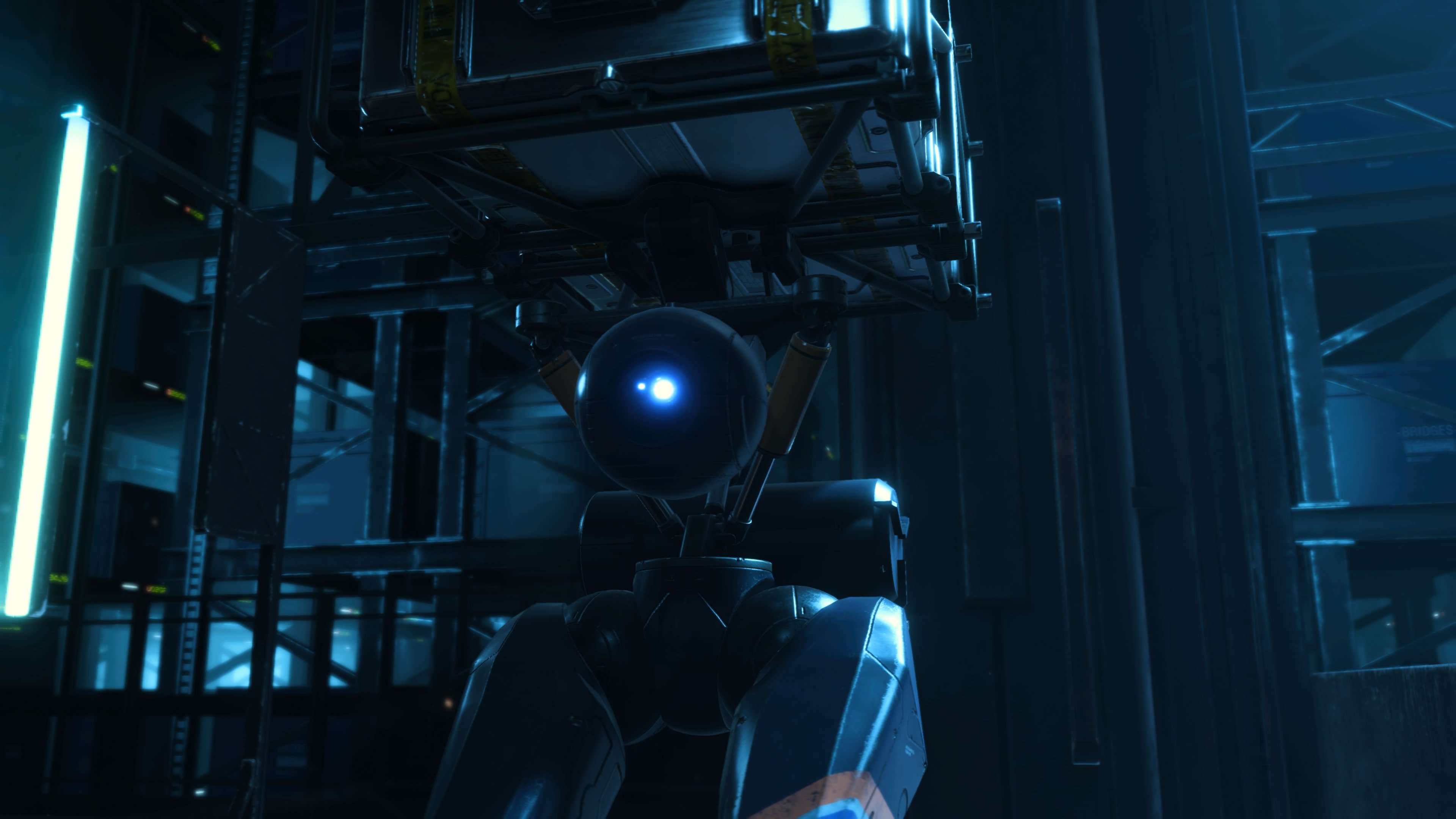 Death Stranding - Director`s Cut