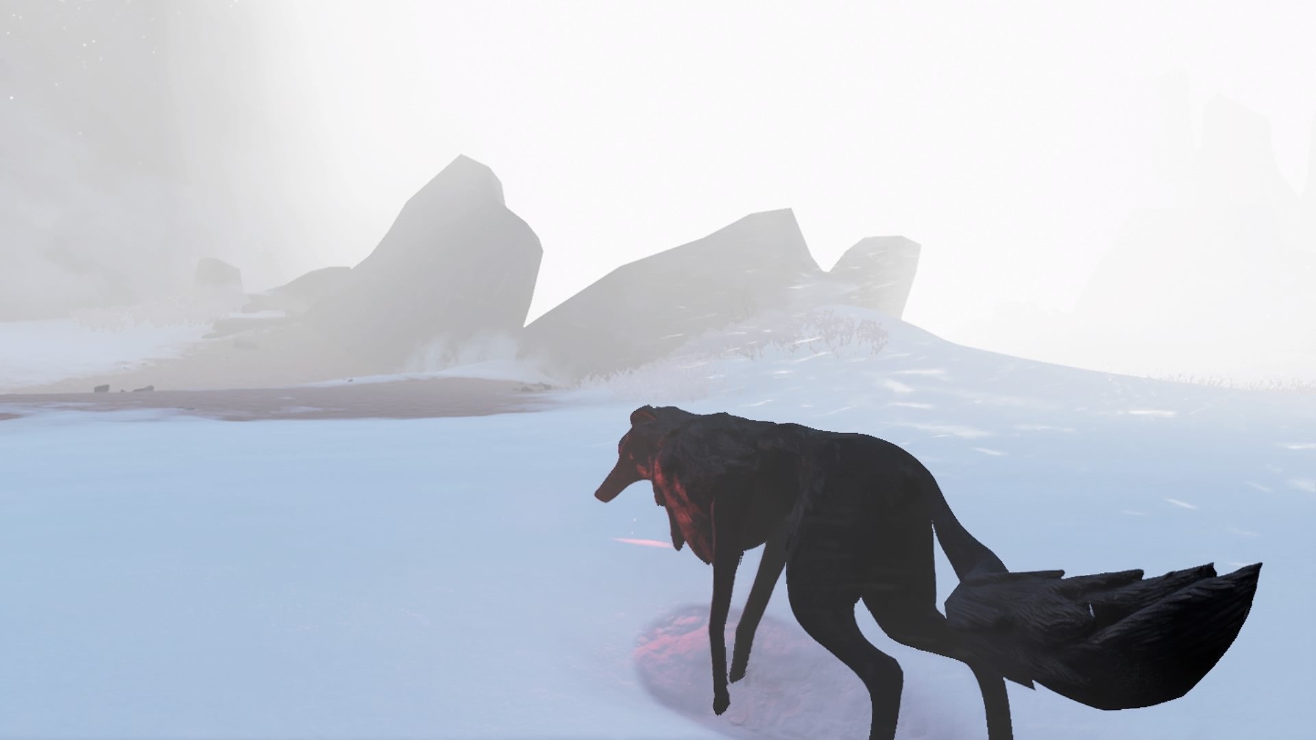 Lost Ember