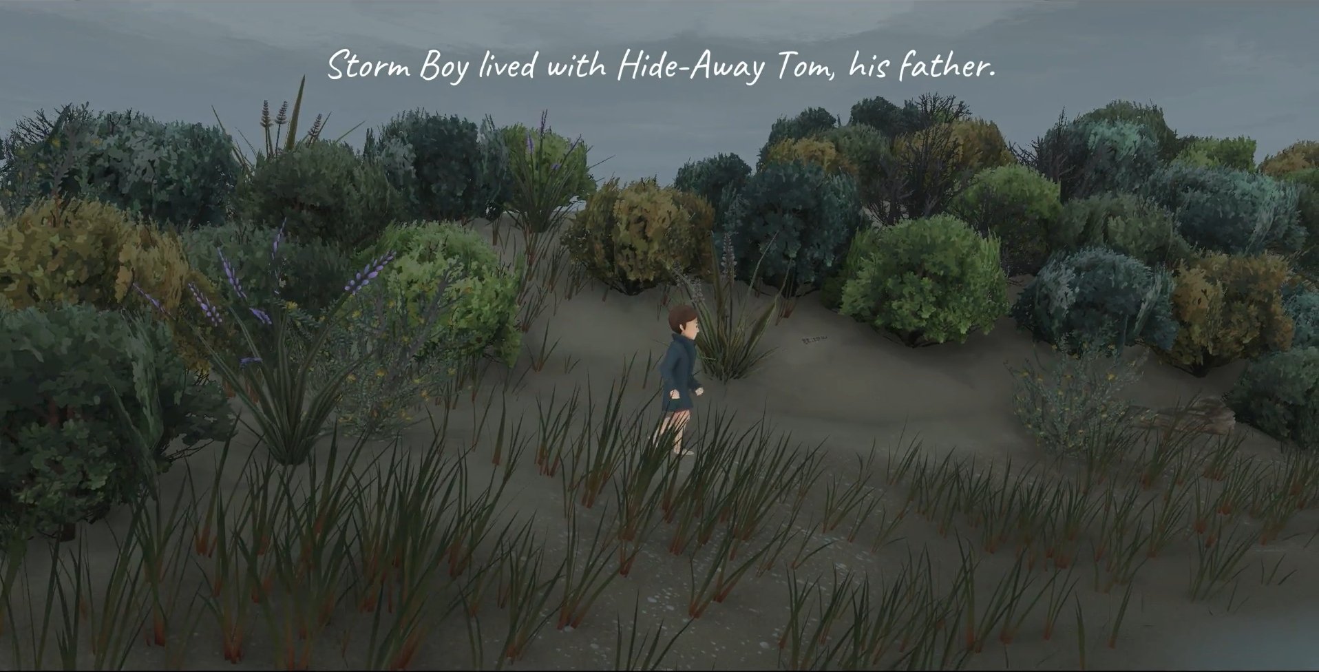 Storm Boy: The Game