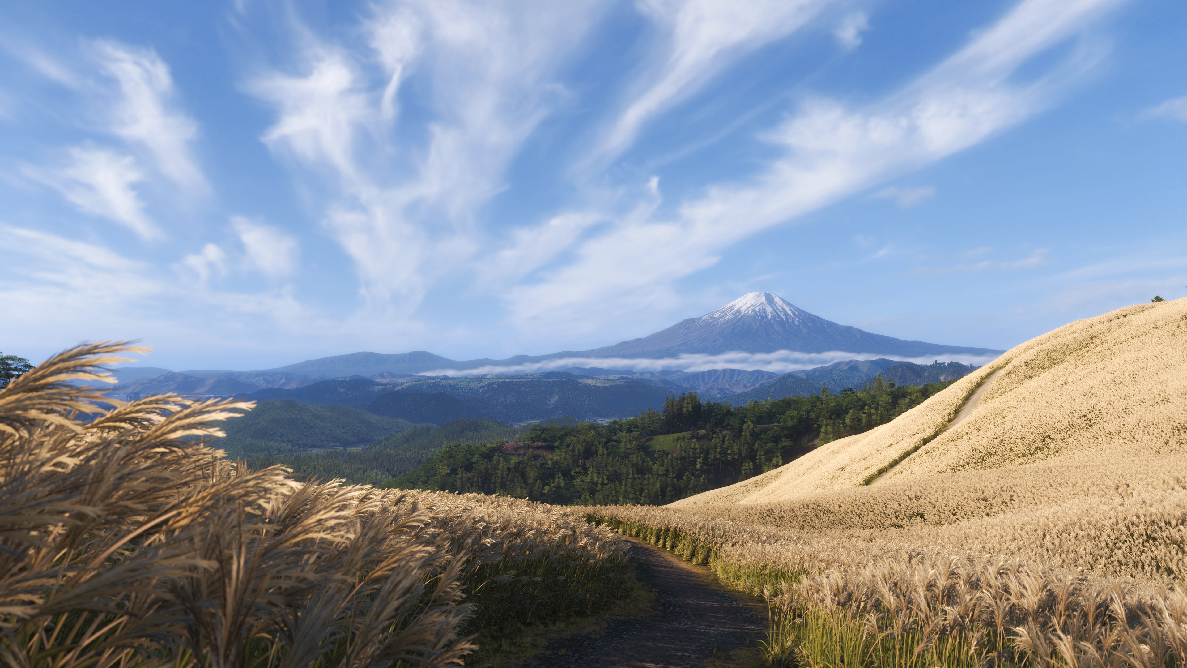 Forza Horizon 6