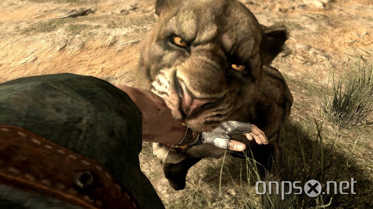 Cabela's Dangerous Hunts 2011