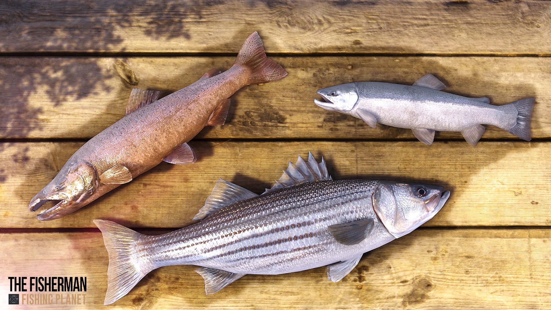 The Fisherman - Fishing Planet