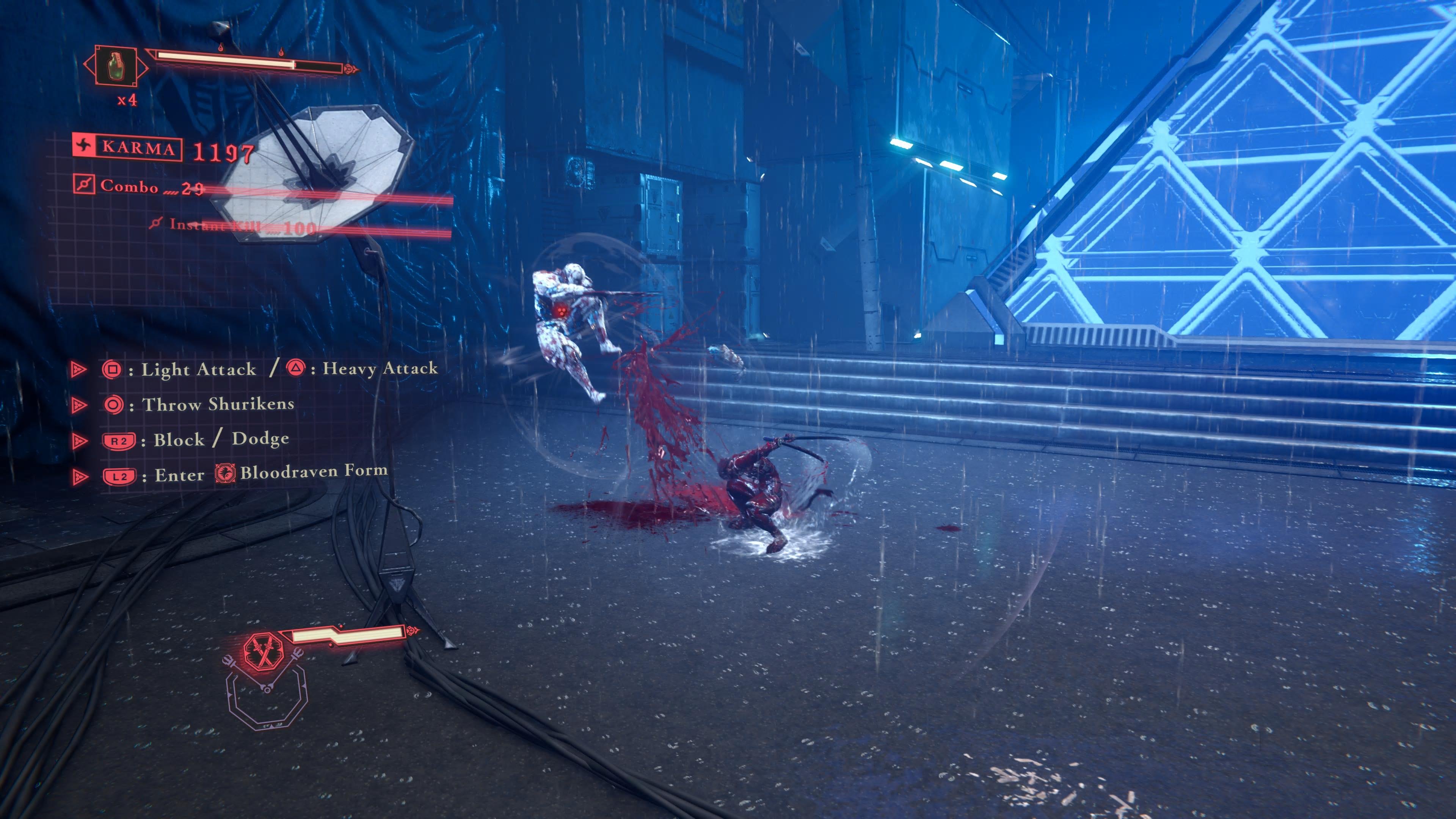 Ninja Gaiden 4