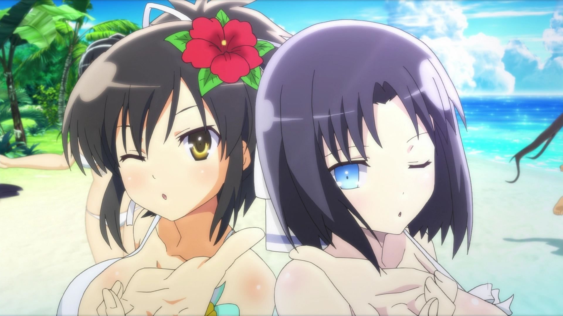 Senran Kagura: Peach Beach Splash