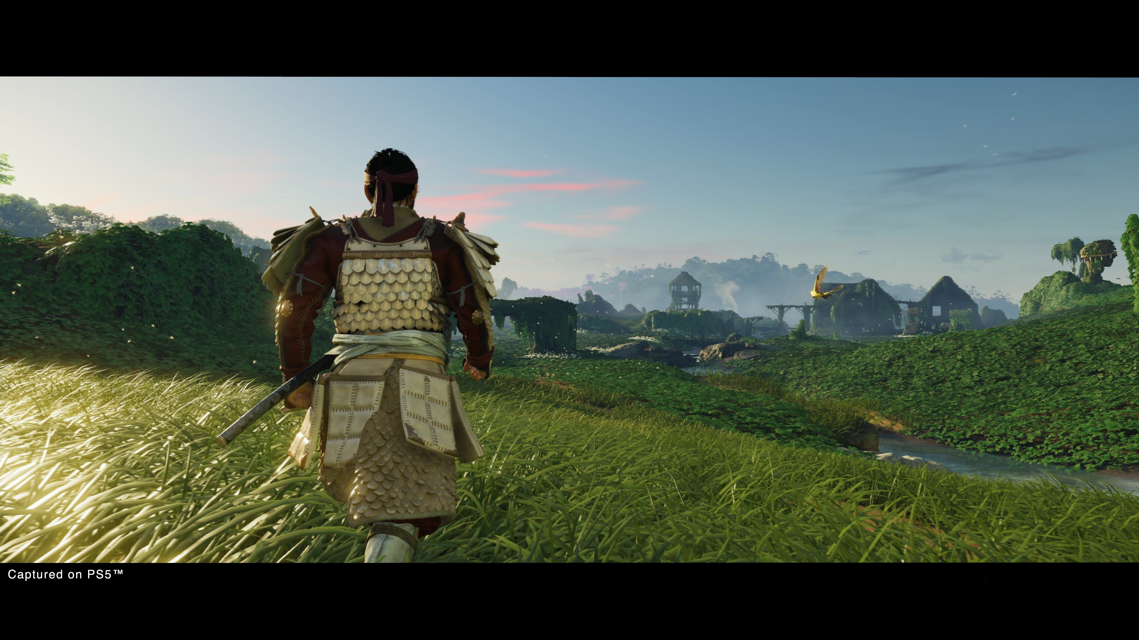 Ghost of Tsushima: Director`s Cut