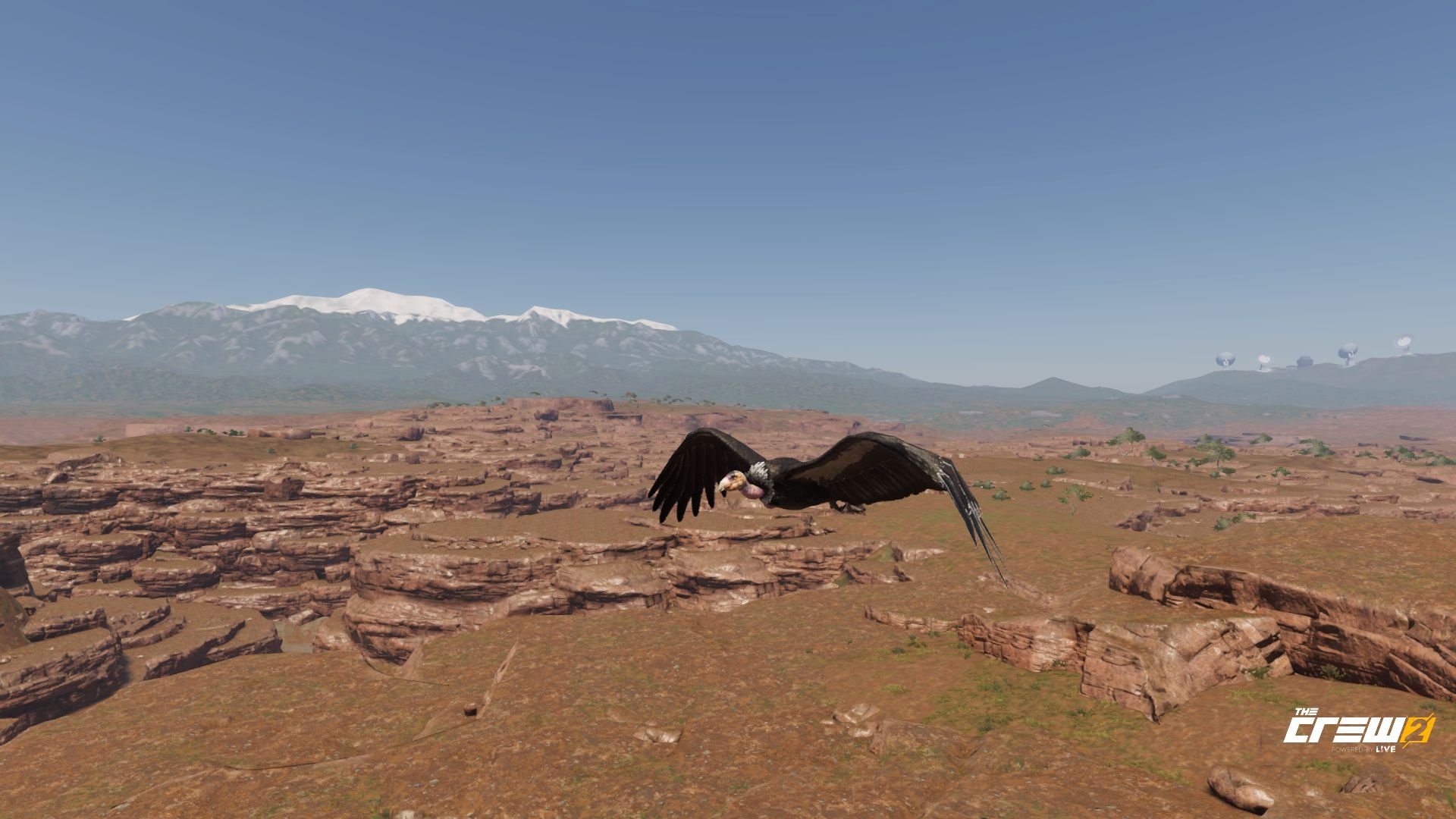 The Crew 2 - Season 9 Episode 1: American Legends geht los