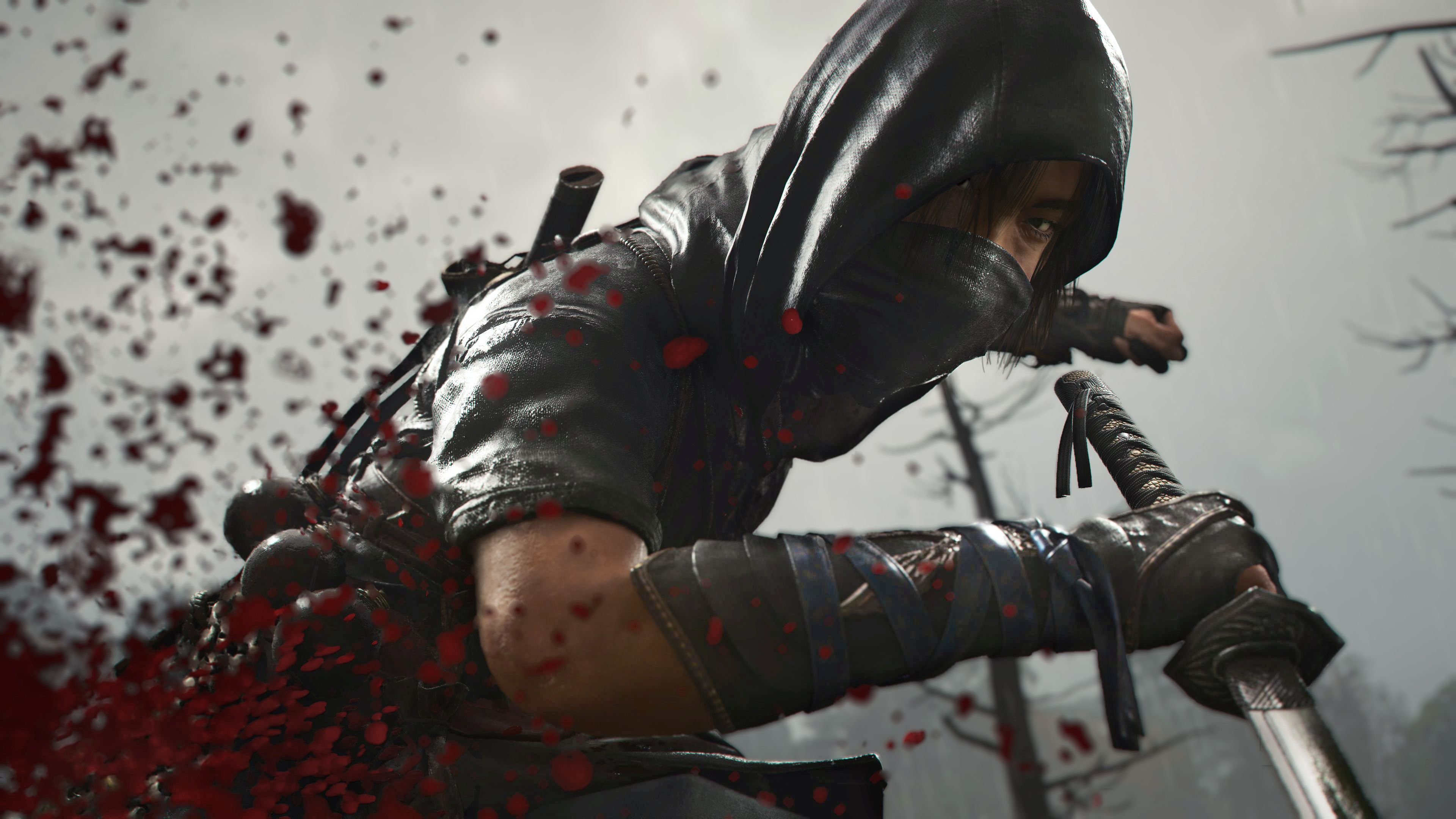 Assassin`s Creed Shadows