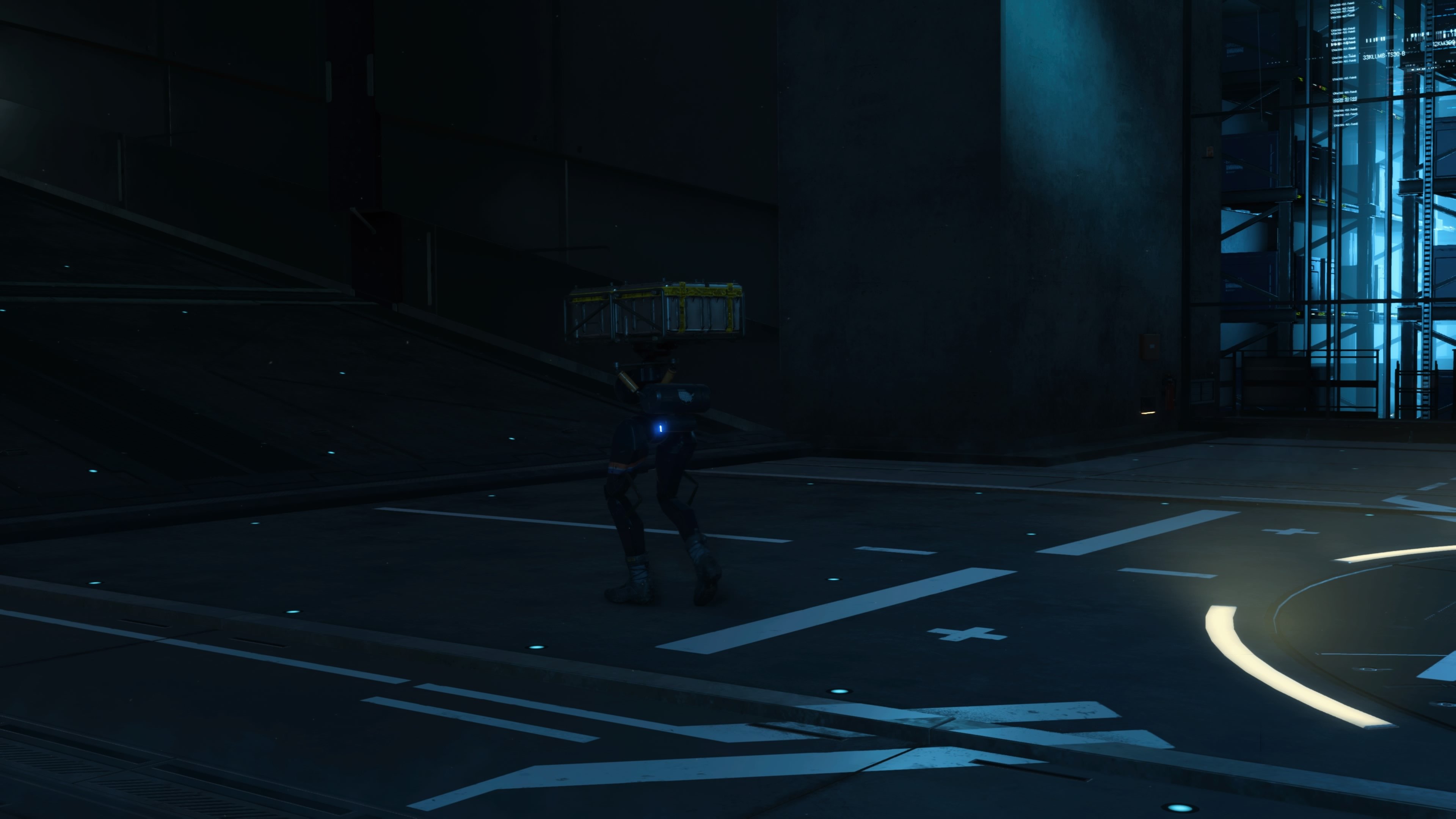 Death Stranding - Director`s Cut