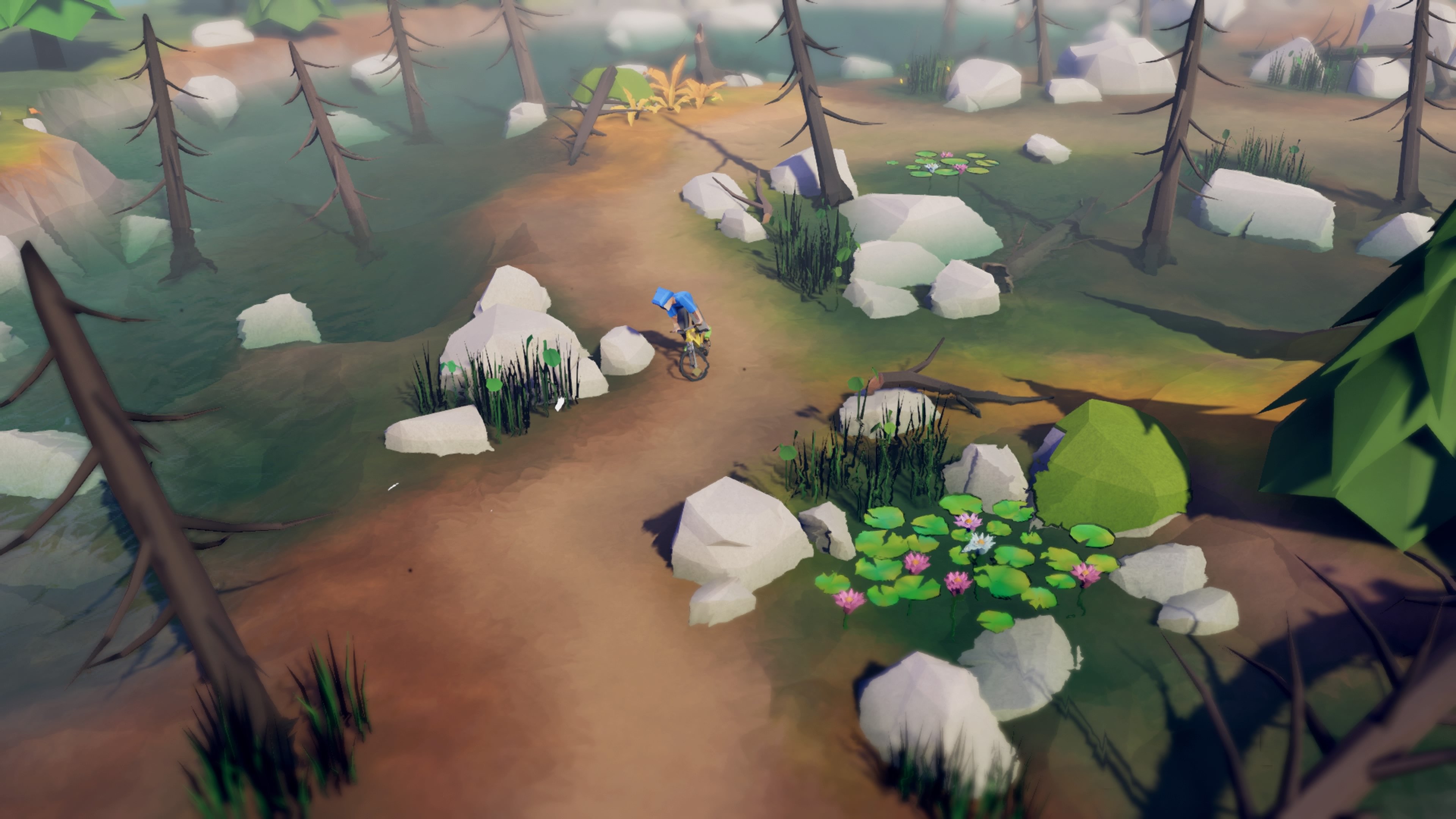 Lonely Mountains: Downhill