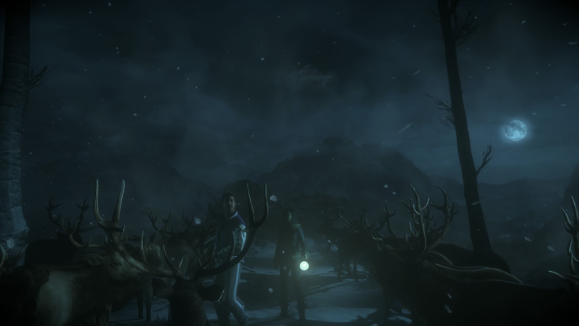 Until Dawn