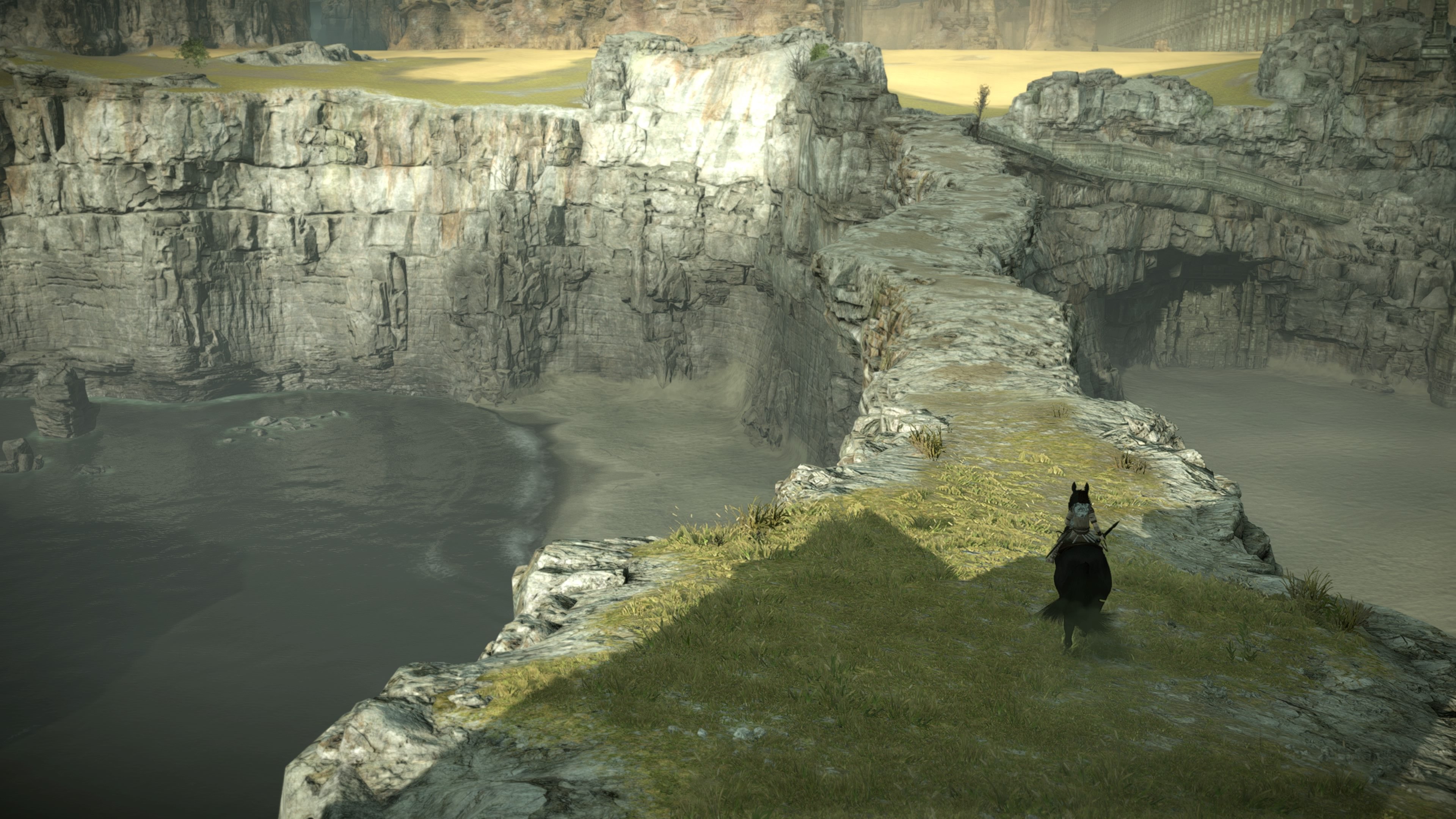 Shadow of the Colossus