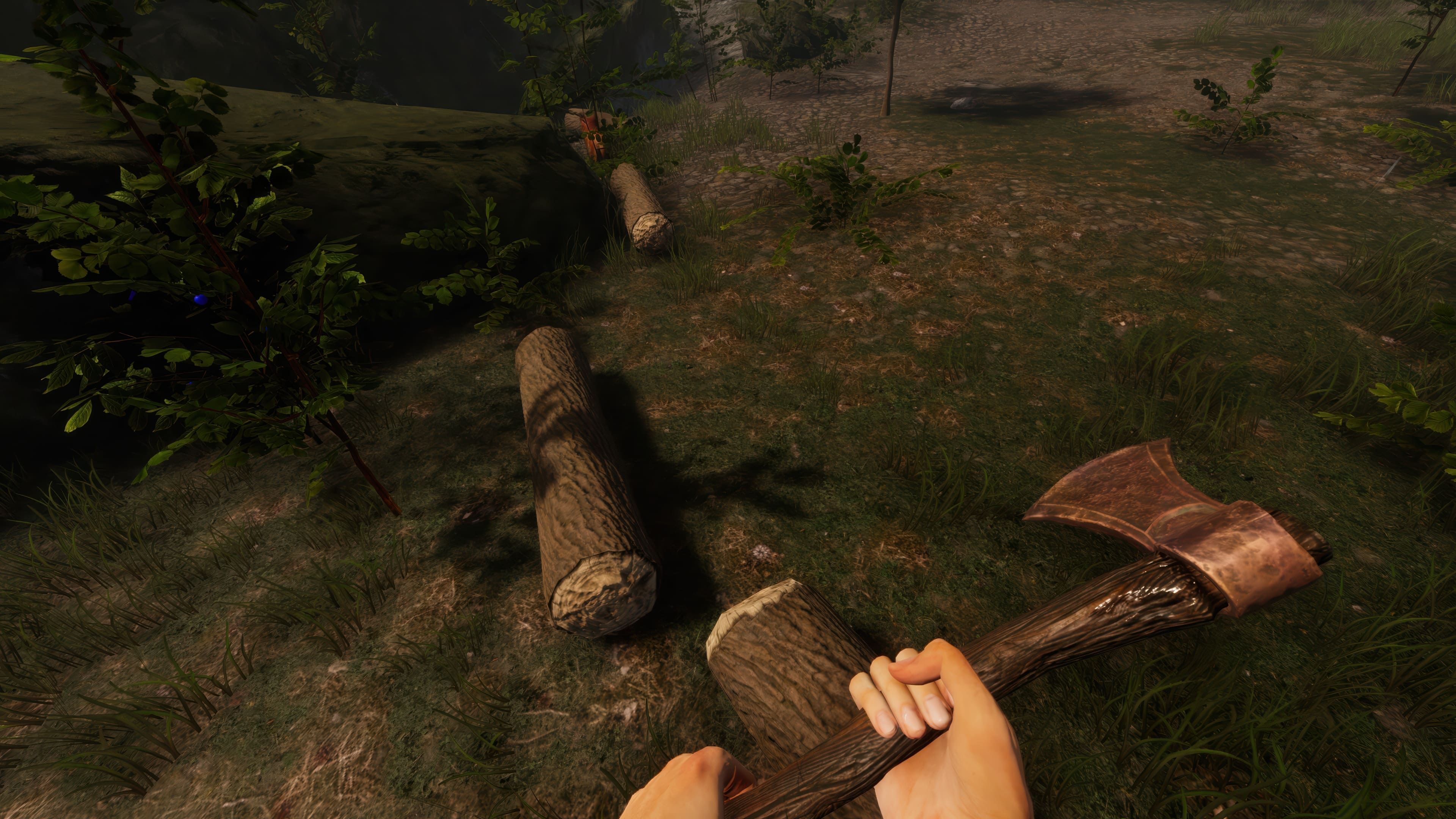 Viking Frontiers